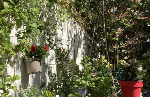 Les Puces de Saint-Ouen House | TOP/Quiet family home close to "Puces" and antique shops Saint-Ouen and Paris