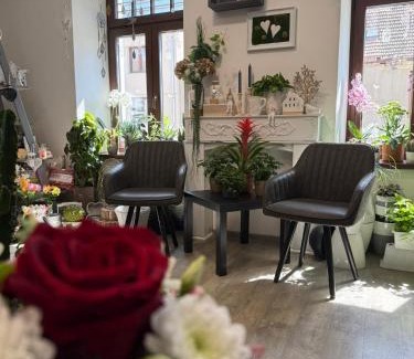 Mikulov Apartment | Topinambur Apartmány