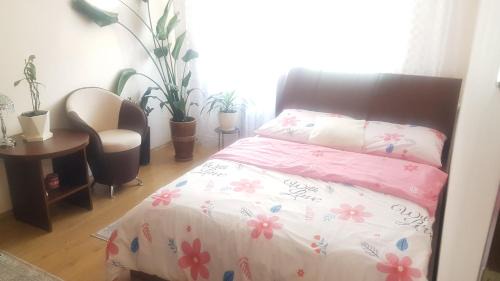 Minsk Mazowiecki Apartment | Topolowa 13