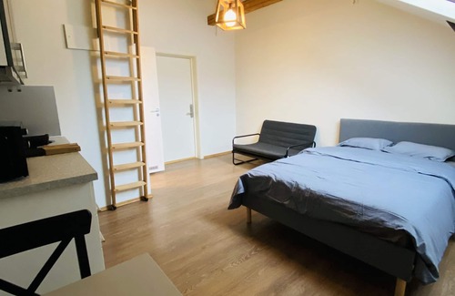 Oslo City Centre Apartment | Torggata Apartments Oslo- Romslig Hel-studio Leilighet Midt i Oslo Sentrum
