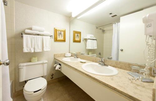 Wynford-Concorde Hotel | Toronto Don Valley Hotel and Suites