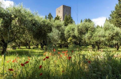 Montecatini Val di Cecina Villa | Torre dei Belforti