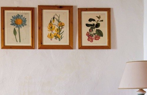 Castelfiorentino House | Torre Rasa Tuscan Holiday- Melograni Apartment