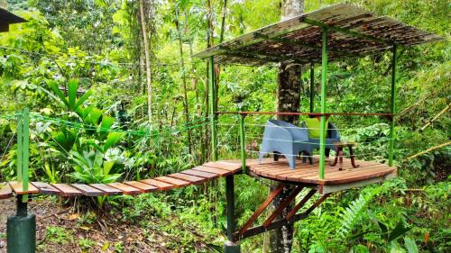Chiguata House | Toucan Hideout with Plunge Pool