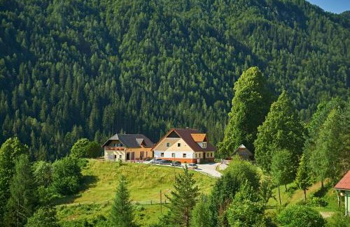 Solcava Apartment | Tourist farm Gradišnik