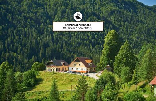 Solcava Apartment | Tourist farm Gradišnik
