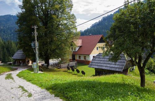 Solcava Apartment | Tourist farm Gradišnik