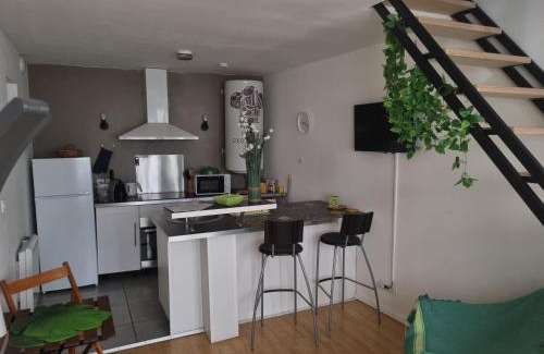 Tournus Apartment | Tournus Castrum Romain - Duplex 54 m2 - 3 Étoiles - petit box vélo - 5mn Autoroute