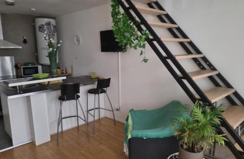 Tournus Apartment | Tournus Castrum Romain - Duplex 54 m2 - 3 Étoiles - petit box vélo - 5mn Autoroute