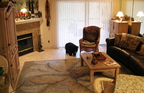 Homosassa House | Townhome on Homosassa River