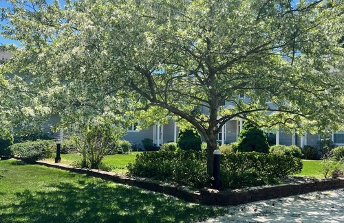 Douglas House | Townhome steps from downtown Douglas!