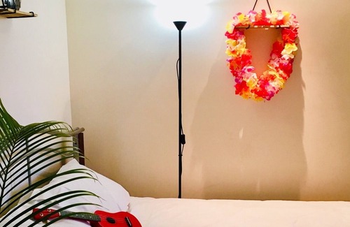 Scotts Head House | TownHouse plus Studio Optional Add-on-Family+Friends+Pets+Value 5min to Beach.