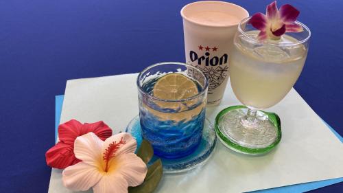 Naha City Centre Hotel | Toyoko Inn Okinawa Naha Asahibashi Ekimae