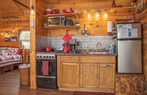 Canaan Valley Apartment | TPZ- Adorable Tiny Home! Pet ok! walk to brewery! A/C
