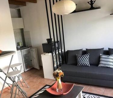 Boisset-et-Gaujac Apartment | Très beau T2 dans mas .