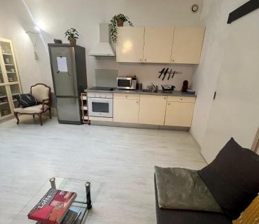 Esplanade Apartment | Très bel appart spacieux proche universités et centre
