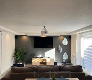 Lingolsheim Apartment | Très bel appartement type loft de 40 m2 dans maison avec parking privatif