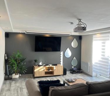 Lingolsheim Apartment | Très bel appartement type loft de 40 m2 dans maison avec parking privatif