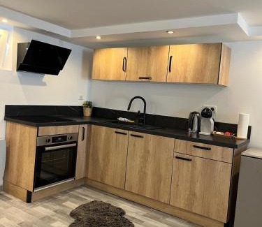 Lingolsheim Apartment | Très bel appartement type loft de 40 m2 dans maison avec parking privatif