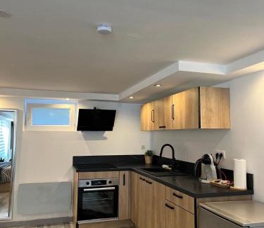 Lingolsheim Apartment | Très bel appartement type loft de 40 m2 dans maison avec parking privatif