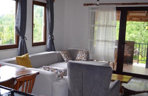 Akcaabat Villa | Trabzon green valley villa