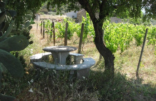 Viddalba House | Traditional Sardinian Farm House, Terrace, Garden, Close to Sea and Beach