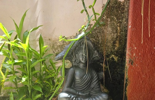 Thamaraparambu House | Traditional Styled Home in Fort Kochi, since 2006