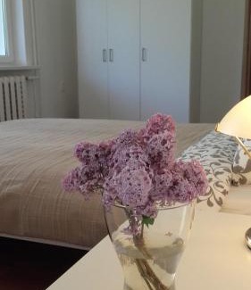Trakai Apartment | Trakai White Apartments