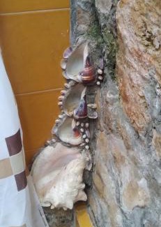 De Guadalupe Apartment | Tranquilidad