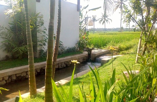 Kemenuh Villa | Tranquil breezy rice field villa w/private pool