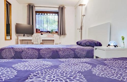 Saint-Louis Apartment | Tranquil City Haven close to Airport & Basel
