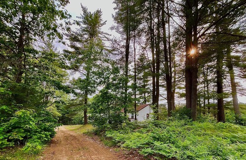 Baysville Cottage | Tranquil Lakefront Cottage Rental Private Beach Access