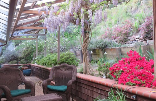 Fairfax Apartment | TRANQUIL MASTER SUITE studio with PRIVATE ENTRANCE in charming Fairfax