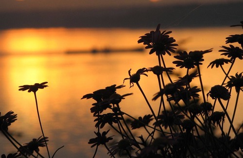 Rollingbay House | Tranquility and Peaceful Guest House Offers Guests A Quiet & Beautiful Getaway!