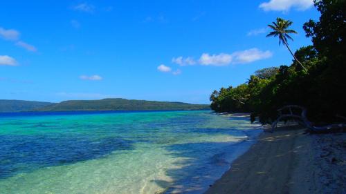 Moso Island Resort | Tranquility Island Eco Dive Resort