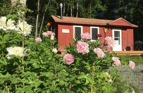 Talkeetna House | Trapper John's Cabin & Cottages