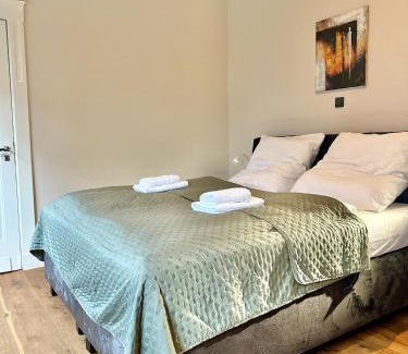 Ziegelhof Apartment | Traumhaftes Apartment mit gratis Parkplatz und Balkon G3