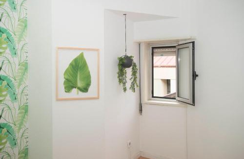 Centro / Baixa Hostel | Travel & Live Marques