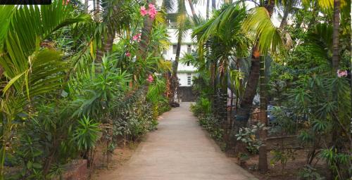 Murud-Harnai Other | Travel Moody Homestay & Campsite