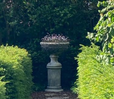 Assebroek Bed & Breakfast | Tree & B