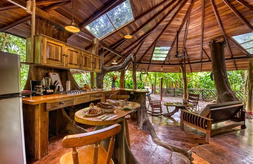 Chiguata House | Tree House, located on Beach front Property