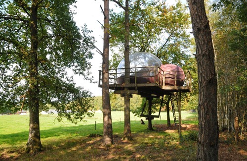 Erezee House | Tree Glamping in Fisenne with Ardennes View