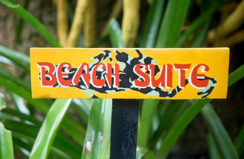 Chiguata Cabin | Tree House Beachfront Lodge