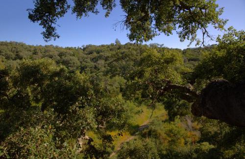 Sao Luis Other | Tree house da Lage
