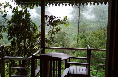 Kaul House | Tree House on Oak Tree at Silent Valley Alchauna Along River Kalsa