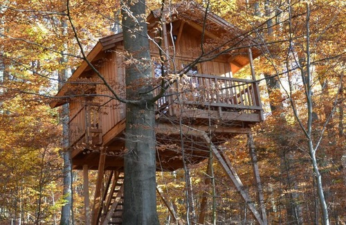 Solling Apartment | Tree house refuge, living/sleeping room - Baumhaushotel Solling