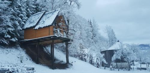 Montenegro Ski Chalet | Tree house - Tara Place