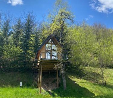 Montenegro Ski Chalet | Tree house - Tara Place