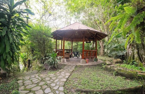 La Pena Boat Rental | Tree house TOBIA near Bogota