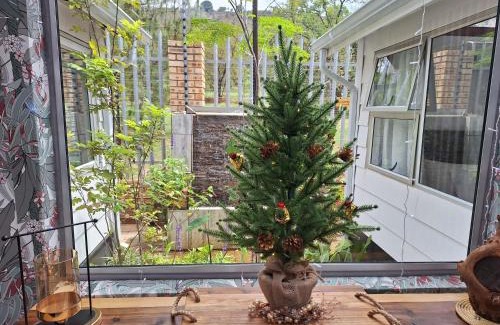 Krugersdorp Apartment | Tree Living